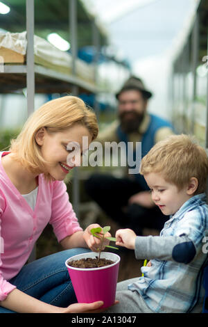 Mutter, die ihren Sohn zarte Blätter der kleinen Blume in Rosa pot. Verschwommen bärtiger Mann im Hintergrund. Glückliche Familie arbeiten im Gewächshaus. Stockfoto