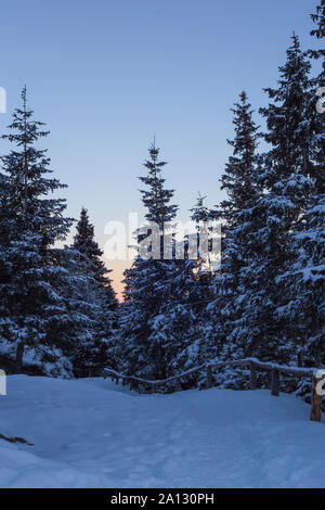 Snowy trail auf Silvester, in den rumänischen Karpaten. Stockfoto