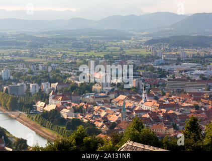 Stadt Celje, Slowenien, von der alten Burg gesehen Stockfoto