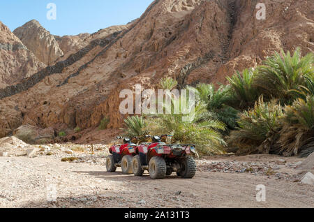 Vier Rädern all terrain vehicle Quad in der Wüste vor dem Hintergrund der Palmen und Stein Felsen in Ägypten Dahab Stockfoto
