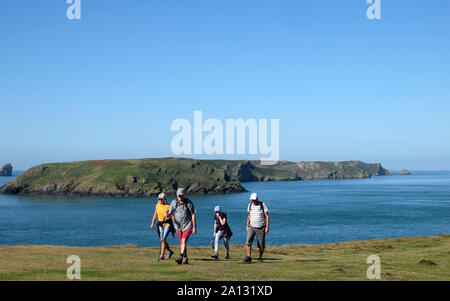 Ältere Menschen Wanderer zu Fuß auf der walisischen Küste in der Nähe von Martins Hafen der Insel Skomer im September Herbst Pembrokeshire Wales UK KATHY DEWITT Stockfoto