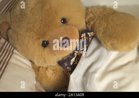 Teddy Bär versteckt sich im Bett Stockfoto