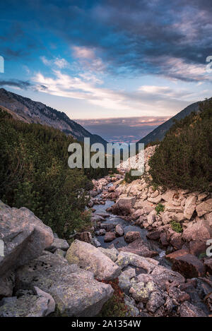 Sonnenuntergang Landschaft von Banderitsa river valley, Pirin-gebirge, Bulgarien Stockfoto