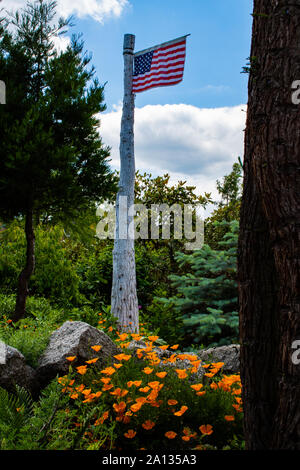 Flagge der Vereinigten Staaten Stockfoto