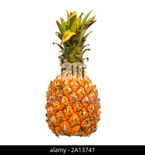 Mini Ananas close-up 3D Rendering mit realistischen Textur auf weißem Hintergrund Stockfoto