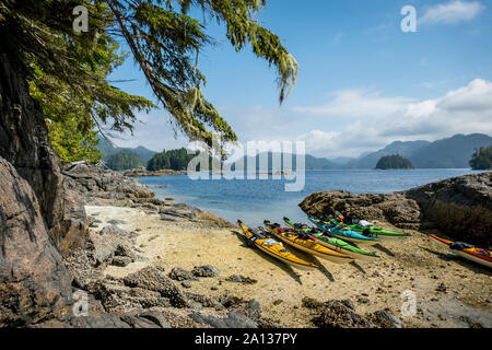 Kajaks an einem Sandstrand in der Broughton Archipel Provincial Park, British Columbia, Kanada. Stockfoto