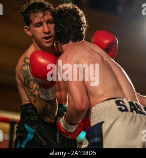 21. September 2019. Elgin Rathaus, Elgin, Moray, Schottland, Großbritannien. Dies ist eine Szene aus dem Homecoming Boxing Ereignis. Stockfoto