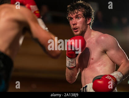 21. September 2019. Elgin Rathaus, Elgin, Moray, Schottland, Großbritannien. Dies ist eine Szene aus dem Homecoming Boxing Ereignis. Stockfoto