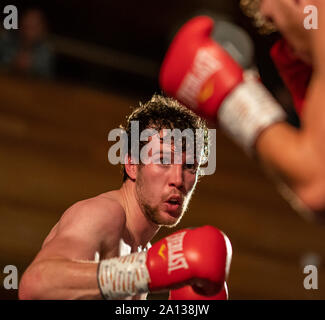 21. September 2019. Elgin Rathaus, Elgin, Moray, Schottland, Großbritannien. Dies ist eine Szene aus dem Homecoming Boxing Ereignis. Stockfoto