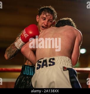 21. September 2019. Elgin Rathaus, Elgin, Moray, Schottland, Großbritannien. Dies ist eine Szene aus dem Homecoming Boxing Ereignis. Stockfoto