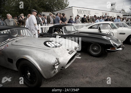 1963 ACCobra Diven von Martin Jagd & Patrick Blakeney-Edwards und 1961 Jaguar E-Type von Adam Lindemann & Richard Meaden in der kinrara Trophy ra angetrieben Stockfoto