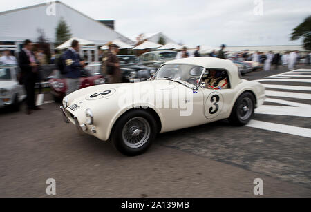 1962 AC Cobra von Oliver Bryant & Ewen Sergison in der kinrara Trophy Rennen auf dem Goodwood Revival 13. Sept 2019 in Chichester, England angetrieben. Copyr Stockfoto