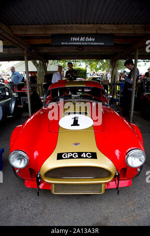 1964 AC Cobra im Fahrerlager wie von Oliver Bryant & Darren Turner in der RAC-Feier rennen Am Goodwood Revival 13. Sept 2019 in Chichest Stockfoto