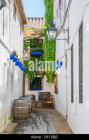 Malerische Anblick in der malerischen Cordoba jüdischen Viertel. Andalusien, Spanien. Stockfoto