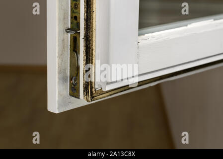 Schwarz Pilz Schimmel muss auf Holz Glas Fensterrahmen Stockfoto