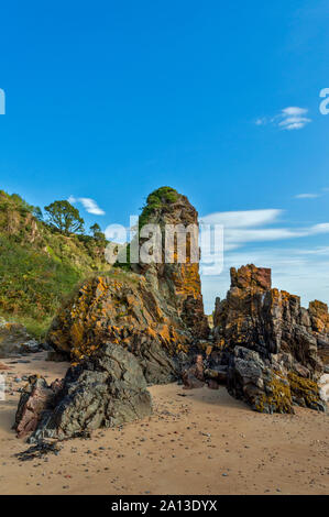 ROSEMARKIE zu CROMARTY SPAZIERGANG BLACK ISLE SCHOTTLAND GRUPPE VON GELBEN FLECHTEN BEWACHSENEN SEA STACKS Stockfoto