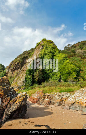 ROSEMARKIE zu CROMARTY SPAZIERGANG BLACK ISLE SCHOTTLAND Efeu bedeckt Stack mit Eingang der Höhle Stockfoto