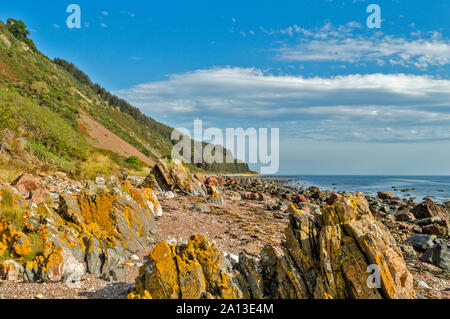 ROSEMARKIE zu CROMARTY SPAZIERGANG BLACK ISLE SCHOTTLAND FELSIGEN STRAND MIT BLICK AUF DIE FORSTWIRTSCHAFT PLANTAGE Stockfoto