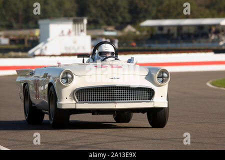 1957 Ford Thunderbird 'Battlebird' von Bill Shepherd in der Freddie März Memorial Trophy gefahren Am Goodwood Revival 13. Sept 2019. © 2019 Copyrigh Stockfoto