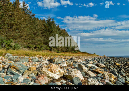 ROSEMARKIE zu CROMARTY SPAZIERGANG BLACK ISLE SCHOTTLAND SEHR felsigen Strand UNTERHALB DER FORSTWIRTSCHAFT PLANTAGE Stockfoto