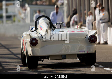 1957 Ford Thunderbird 'Battlebird' von Bill Shepherd in der Freddie März Memorial Trophy gefahren Am Goodwood Revival 13. Sept 2019. © 2019 Copyrigh Stockfoto