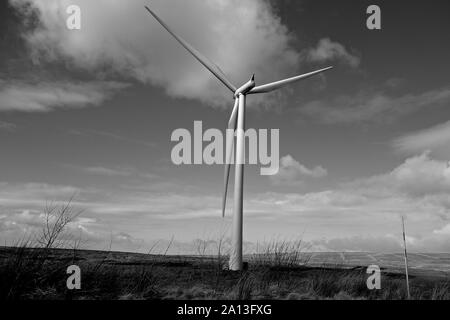 Windpark Whitelee, Schottland Stockfoto