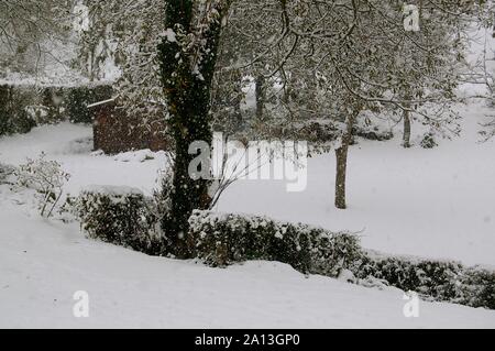 Dordolo Schnee 011210 Stockfoto