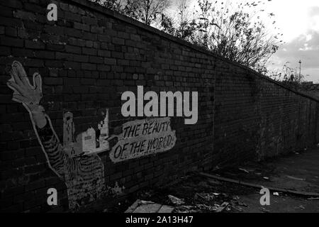 Die Schönheit der Welt, [Kunstwerk von Peter Drew] Glasgow. Stockfoto