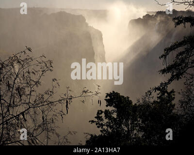 Silhouetted vegetation Frames die atmosphärische Wolken der steigende Nebel produziert durch spektakuläre Wasserfälle in Victoria Falls, Livingstone, Sambia, Afrika Stockfoto