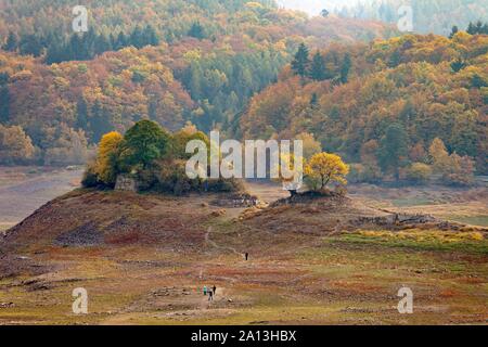 Ausgetrockneten Stausee, Altbringhausen im Nationalpark Kellerwald, Herbst, Deutschland Stockfoto