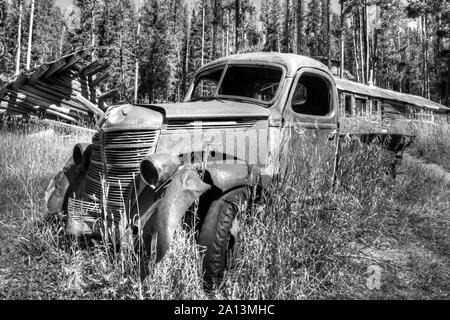 Abgebrochene International Harvester Pickup Truck, Burgdorf Hot Springs, Idaho County, Idaho Stockfoto