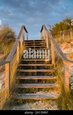 Romantische Ansicht der hölzernen Treppen über Sanddünen führt zum Strand bei Sonnenuntergang mit Schilf und Gras Stockfoto