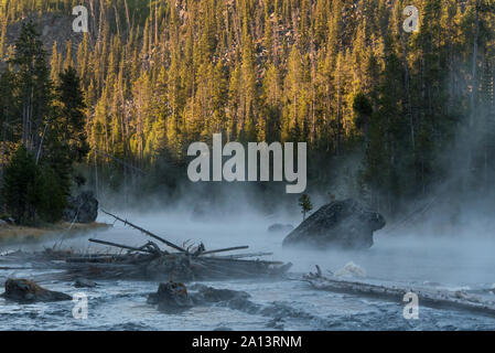 Yellowstone River in den frühen Morgenstunden Stockfoto