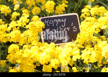 Das Bild zeigt die Glückliche Mütter Tag Begrüßung mit Blumen. Stockfoto