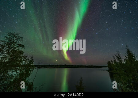 Aurora und Big Dipper über Tibbitt See in Yellowknife, Kanada. Stockfoto