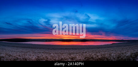Herbst Sonnenuntergang über einem Weizenfeld im südlichen Alberta, Kanada. Stockfoto