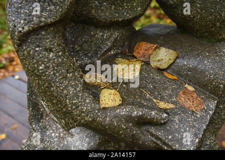 Gelben Blätter im Herbst liegen auf dem freien Stein Buch das Denkmal auf dem Platz der Stadt. Stockfoto