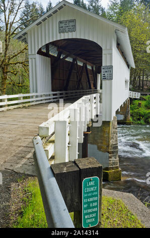 Oder: Lane County, Coast Range, die siuslaw River, Wild Cat Creek Covered Bridge. Blick auf die überdachte Brücke [Bitte für #278.143.] Stockfoto