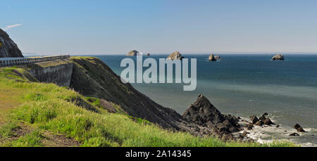 US 101 läuft entlang der Klippen, mit Blick in Richtung Meer Turmspitzen, in Humbug Mountain State Park, Gold Beach, Oregon Stockfoto