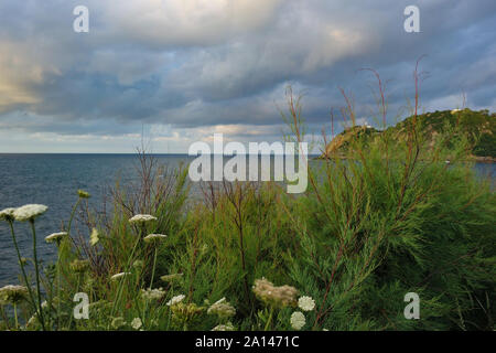 Entlang der Küste den schönen Norden von Spanien Stockfoto