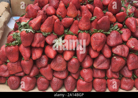 Köstliche frische Erdbeeren auf dem Mercado Central, Lima, Peru Stockfoto