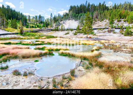 Schlammvulkan im Yellowstone National Park, wo stechend Schwefel tipp Gerüche auf den Brodelnden, schlammigen hydrothermalen Aktivitäten in der Region. Stockfoto