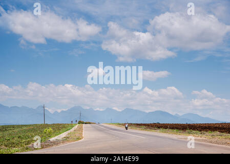 Ananas Plantage an Malaybalay, Bukidnon, Philippinen. Stockfoto