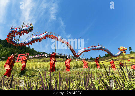 (190924)-BEIJING, Sept. 24, 2019 (Xinhua) - Dorfbewohner durchführen Dragon dance während einer Aktivität der chinesischen Bauern Harvest Festival in Longsheng Multinationale autonomen County, South China Guangxi Zhuang autonomen Region, Sept. 23, 2019 zu feiern. Die Landwirte im ganzen Land feiern die chinesischen Landwirte Harvest Festival, das auf der Herbst-tagundnachtgleiche oder Sept. 23 in diesem Jahr fällt. (Foto von Wu Shengbin/Xinhua) Stockfoto