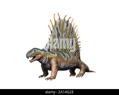 Gigashomegenes Dimetrodon Dinosaurier, weisser Hintergrund. Stockfoto