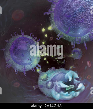 Medizinische Abbildung: Darstellung der Interaktion des Immunsystems auf zellulärer Ebene. Stockfoto