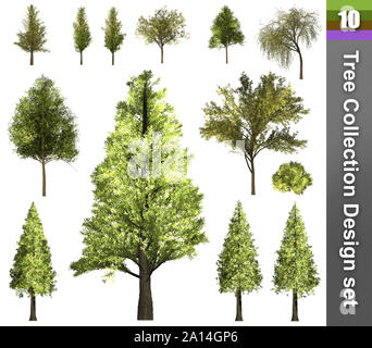 Baum Korrektur Design. 3D-Darstellung. Weißer Hintergrund isolieren. Natur und Gärten Design. Stockfoto