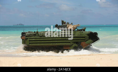 Marines Antrieb ein Amphibisches Fahrzeug am Strand von Hawaii. Stockfoto