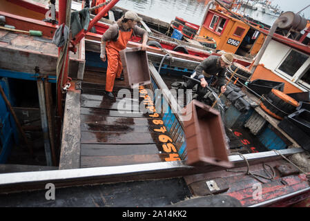 Mar del Plata, Argentinien - 19. September 2016: Es ist ein kleines Fischerboot, typisch für den Hafen von Mar del Plata, nach einem Tag des Fischens, üblichen Stockfoto