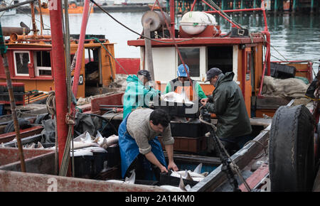 Mar del Plata, Argentinien - 19. September 2016: Es ist ein kleines Fischerboot, typisch für den Hafen von Mar del Plata, nach einem Tag des Fischens, üblichen Stockfoto